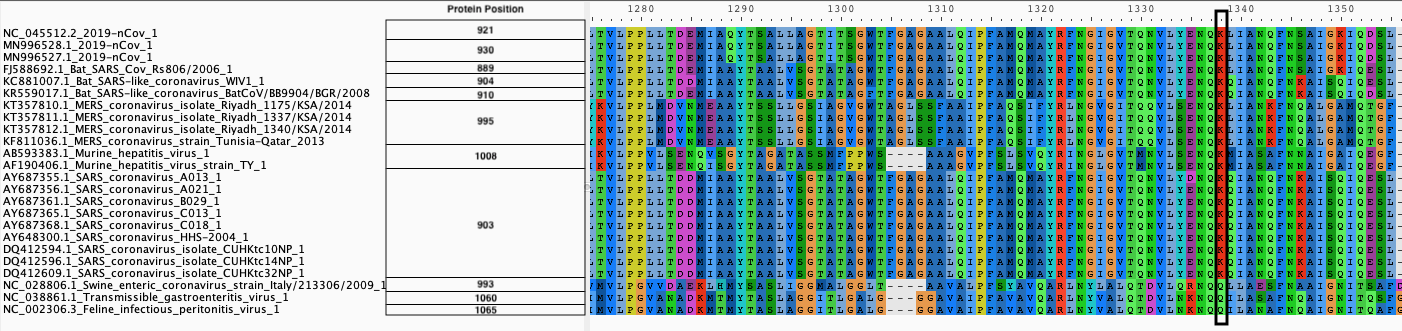 Proteic Alignment of Spike proteins